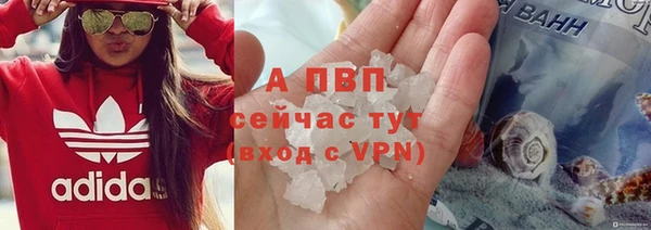 гидра Баксан