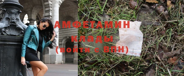ПСИЛОЦИБИНОВЫЕ ГРИБЫ Балахна